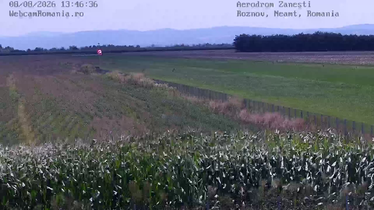 webcam Zăneşti