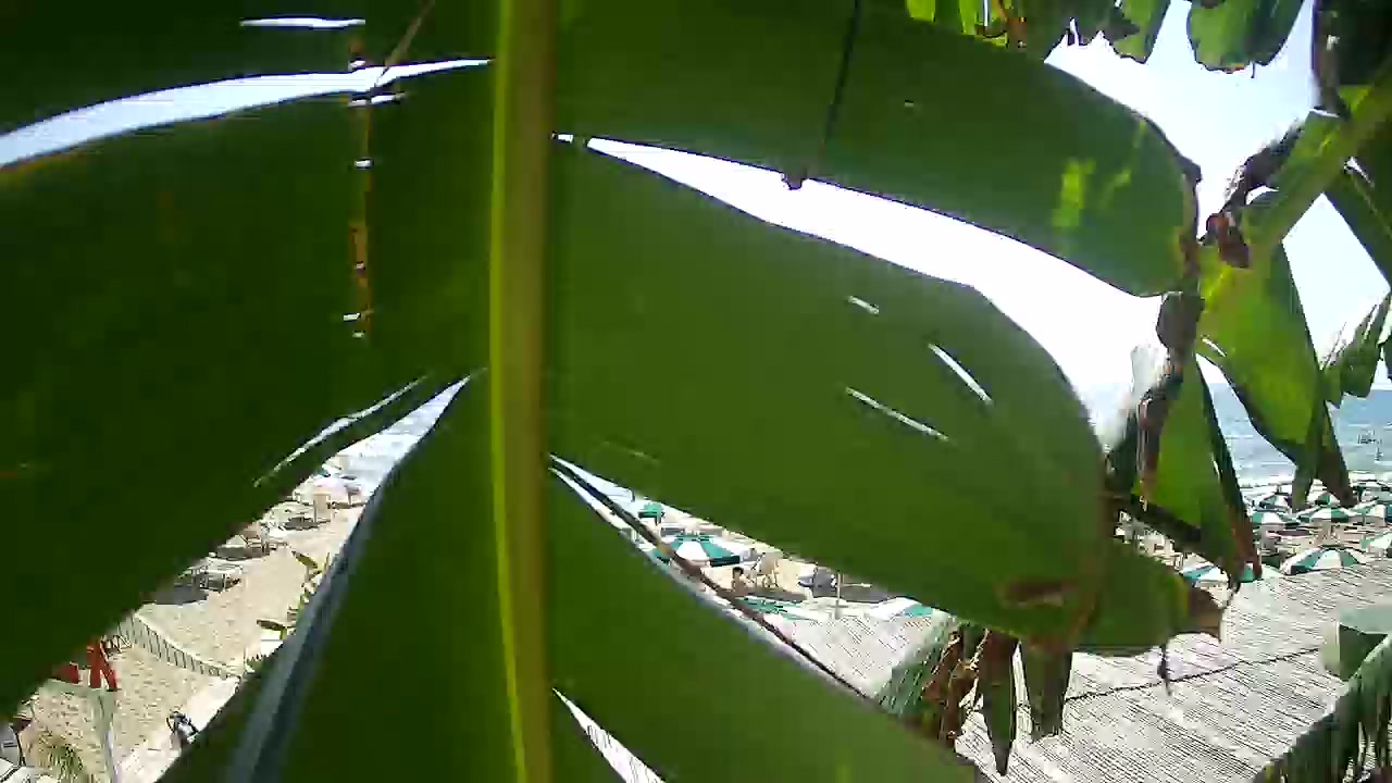 webcam Anzio Lido delle Sirene