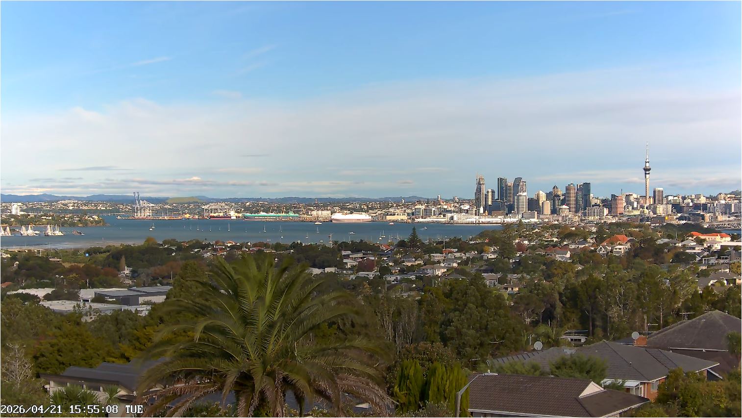 webcam Aukland