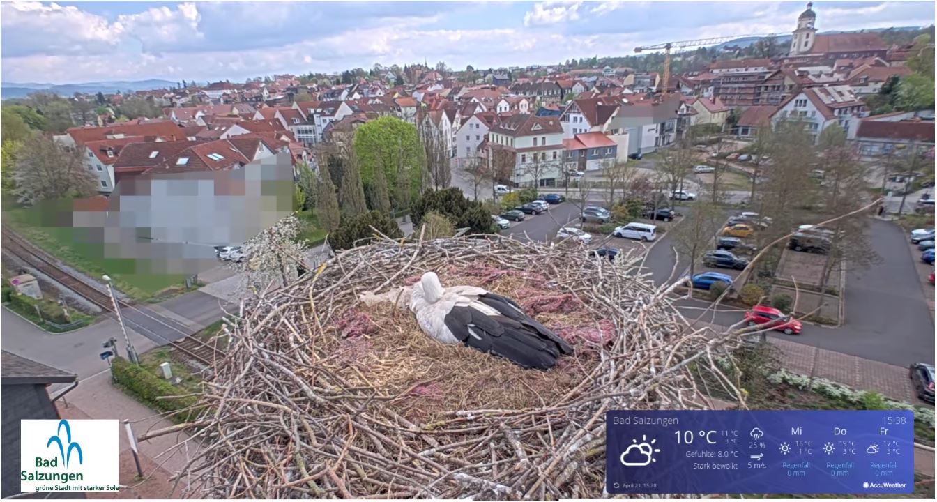 webcam Bad Salzungen