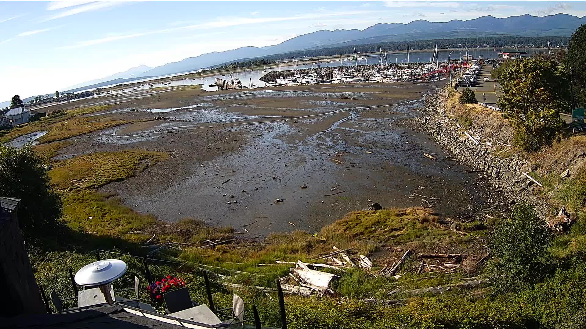 webcam Blackfin Pub Live Ocean Cam