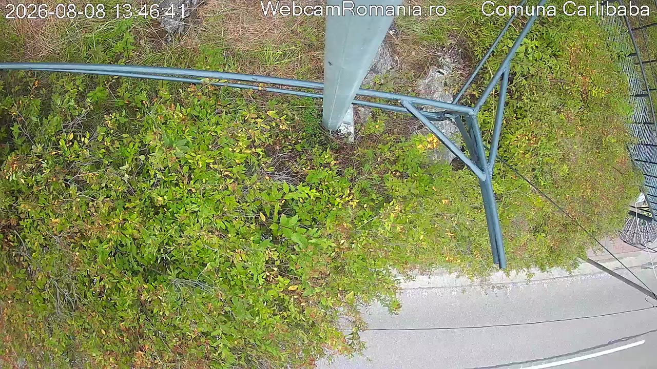 webcam Cârlibaba