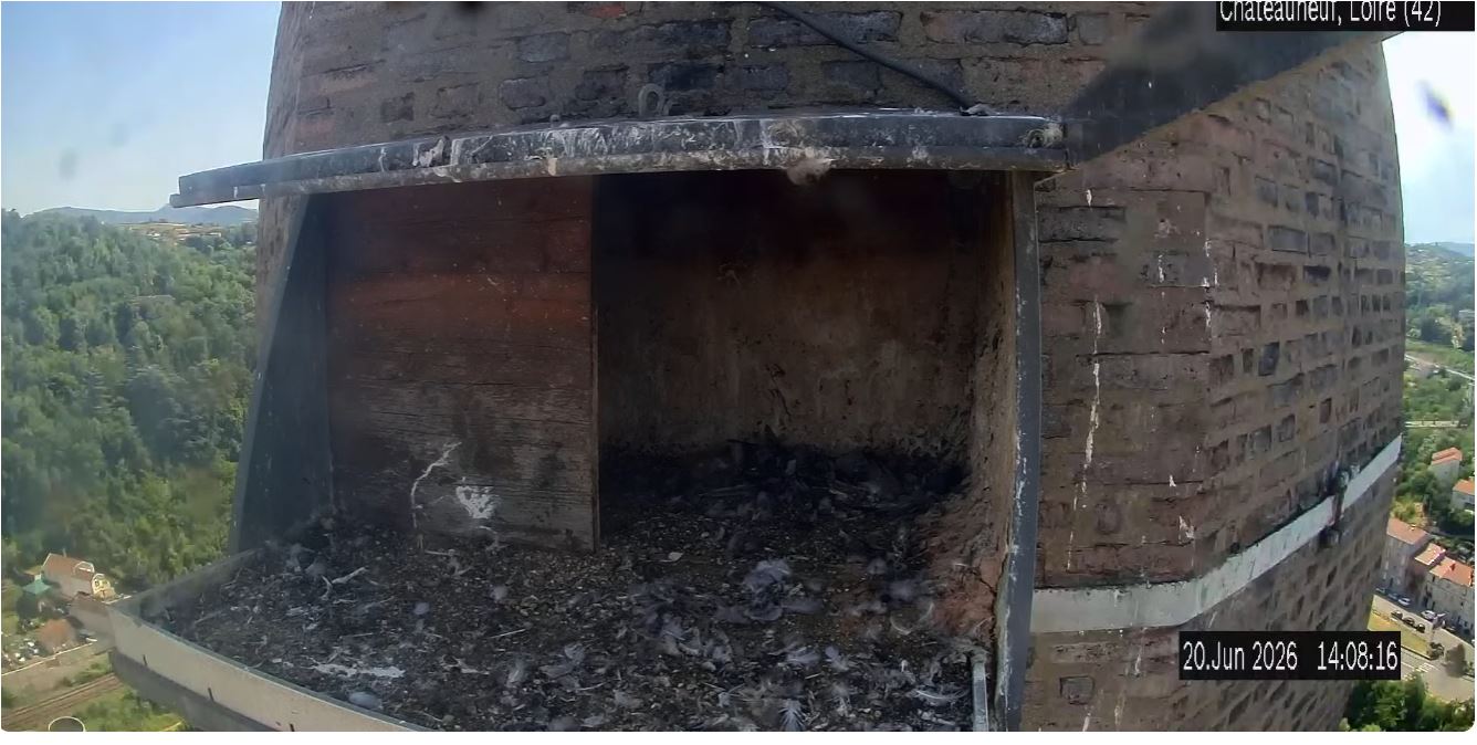 webcam Châteauneuf