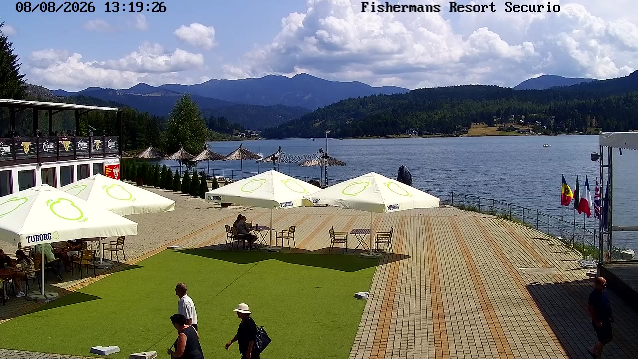 webcam Colibița
