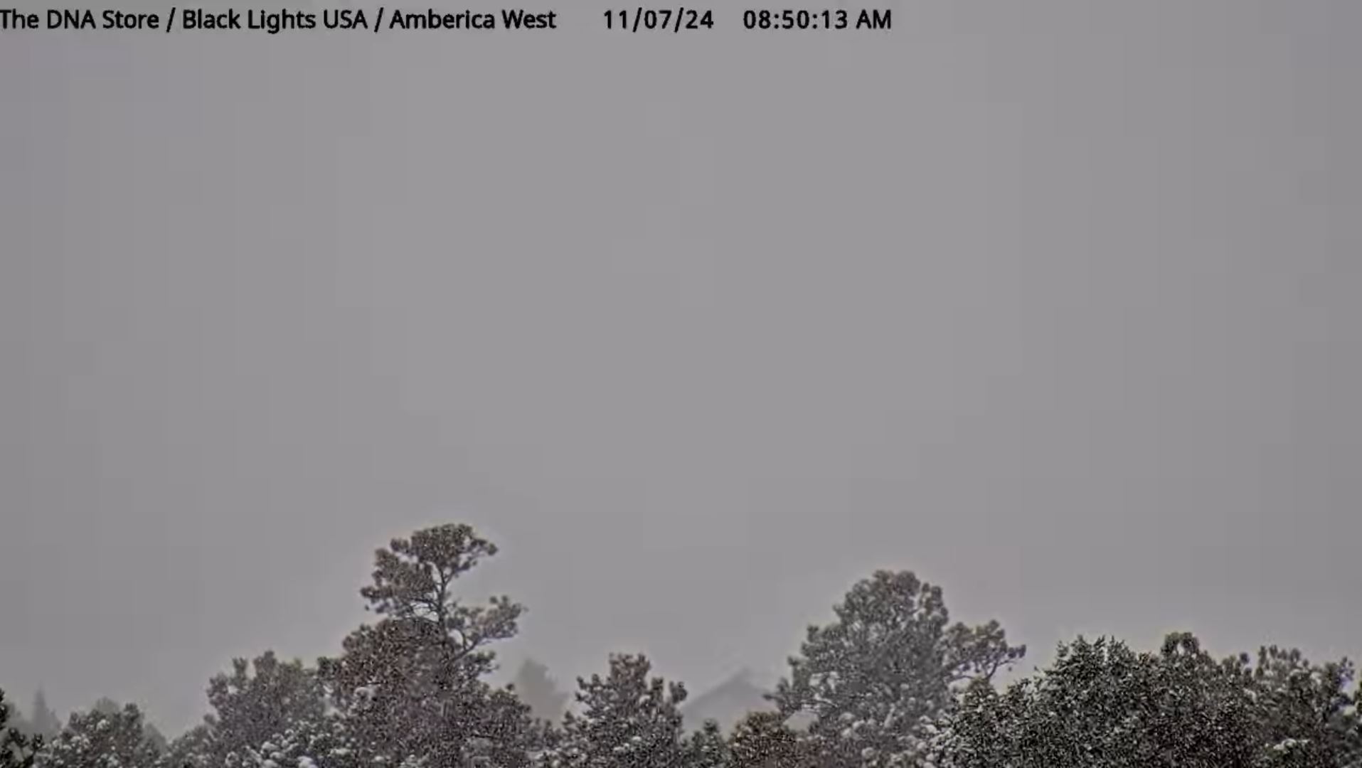 webcam Air Force Academy