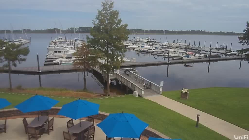 webcam Cypress Landing Marina in North Carolina