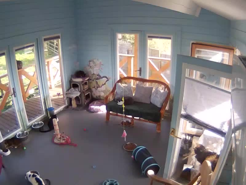 webcam Feral House
