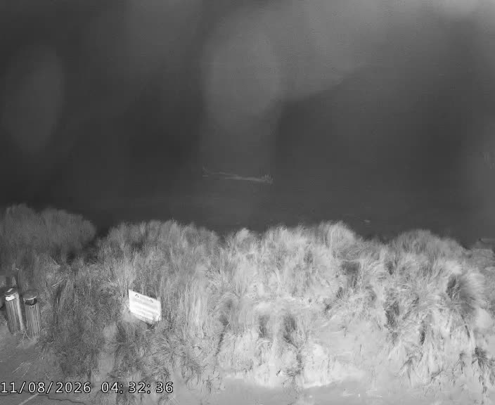 webcam Foxton Surf Club