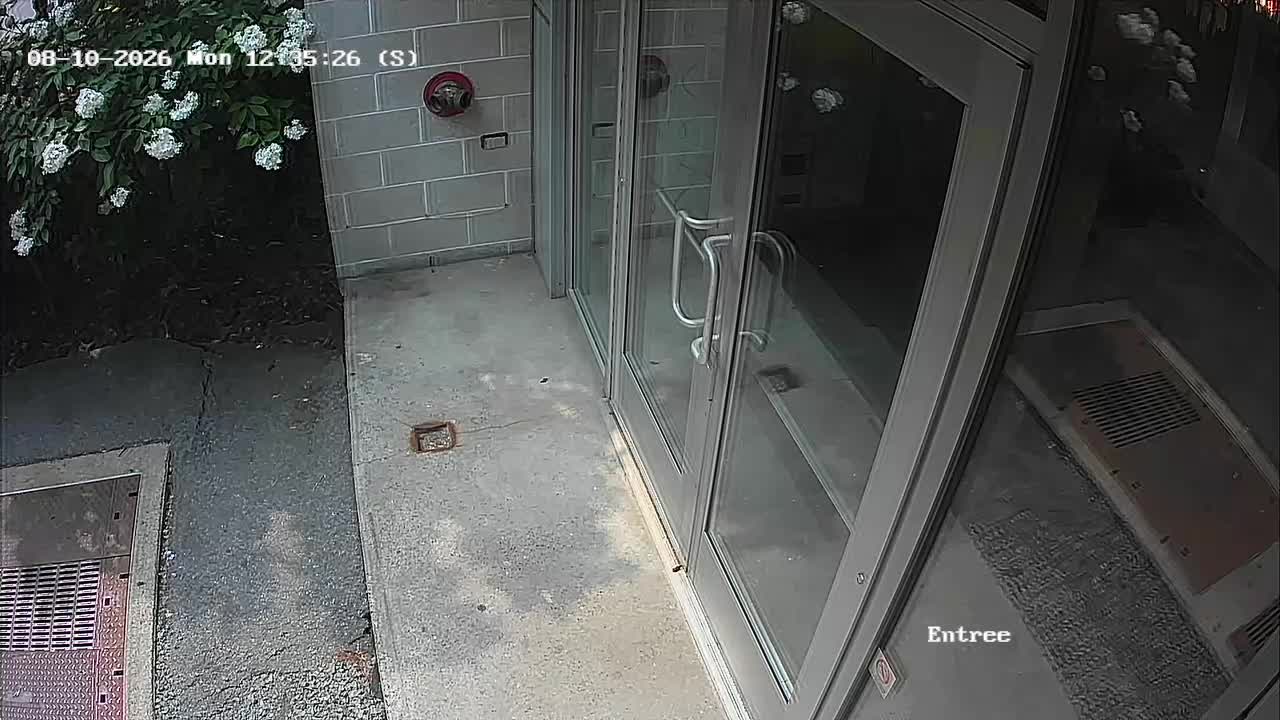webcam Front door