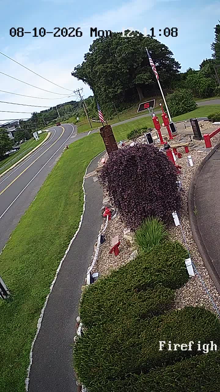 webcam FS5-memorial-roadview
