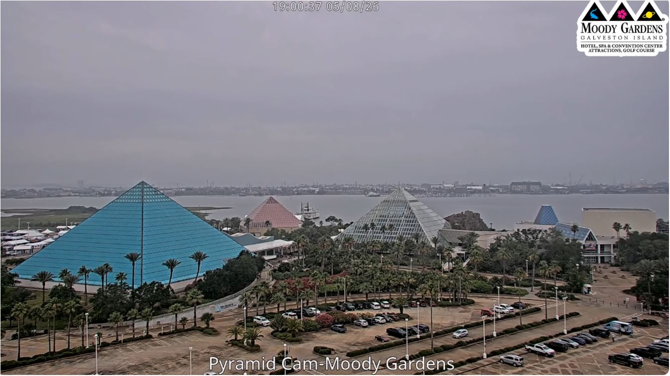 webcam Galveston