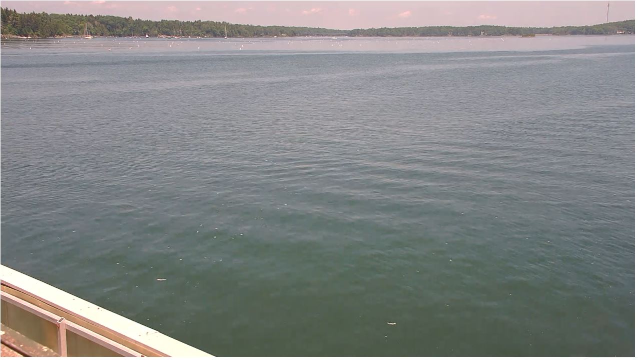 webcam Harpswell