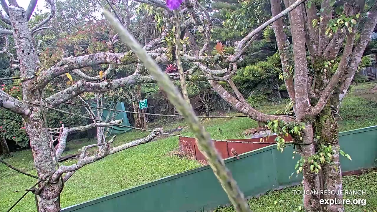 webcam Heredia