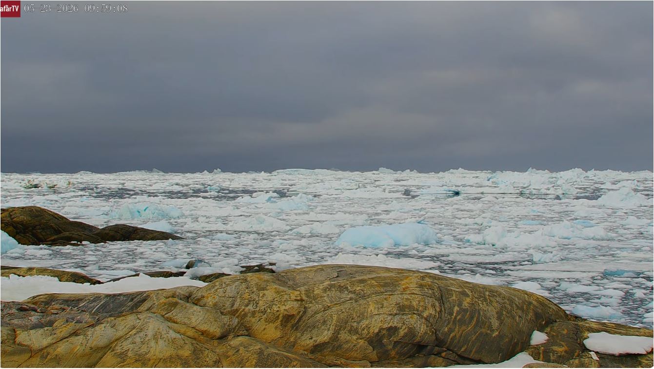 webcam Ilulissat