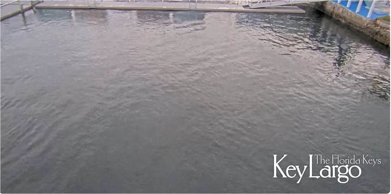 webcam Key Largo