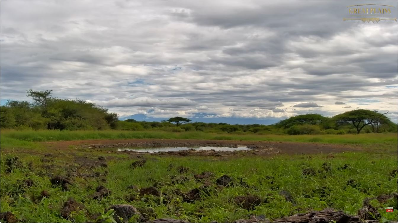 webcam Kilimandjaro