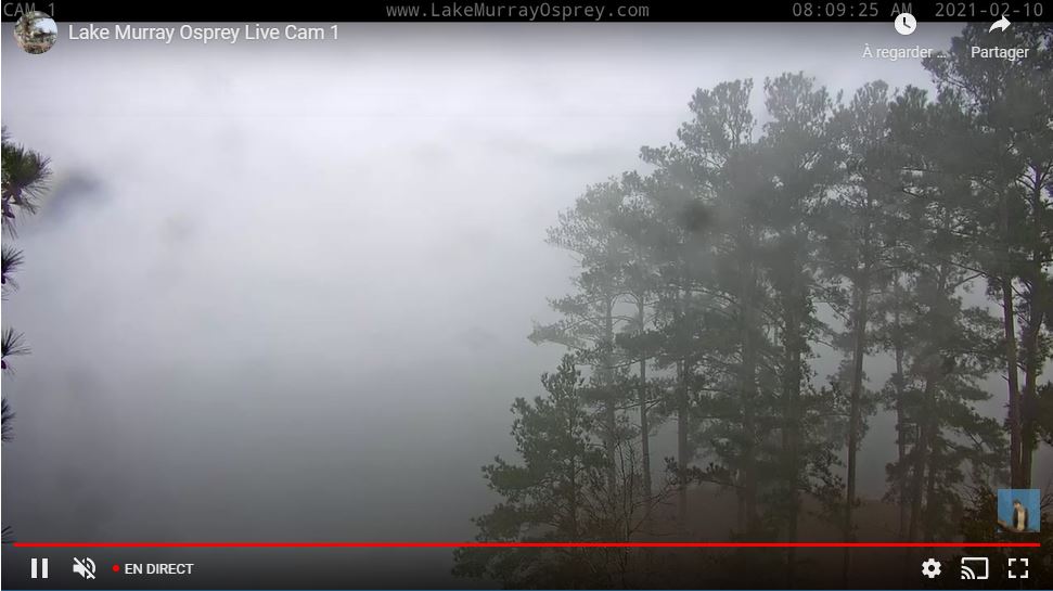 webcam Lake Murray