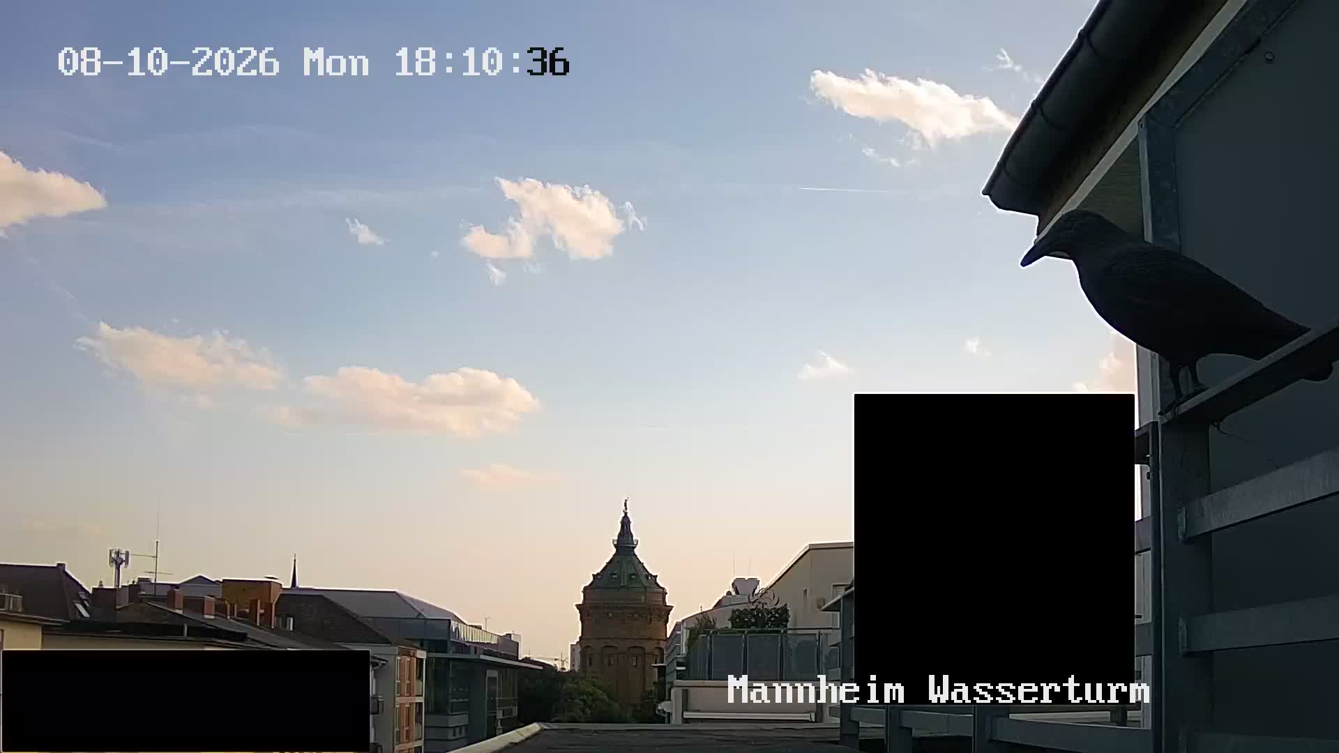 webcam MANNHEIM WASSERTURM