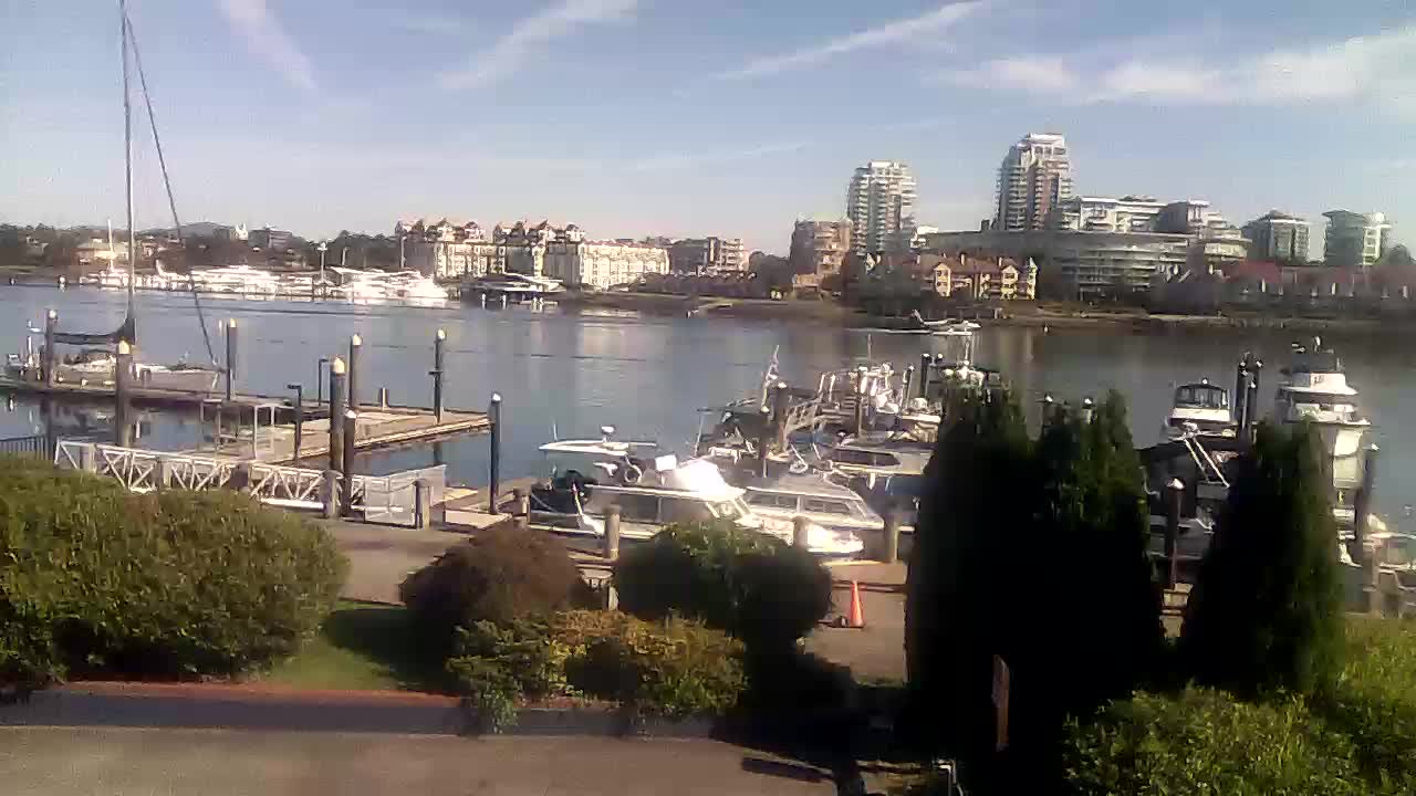 webcam Marina