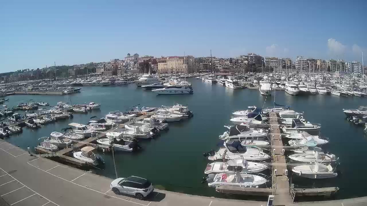 webcam Marina di nettuno