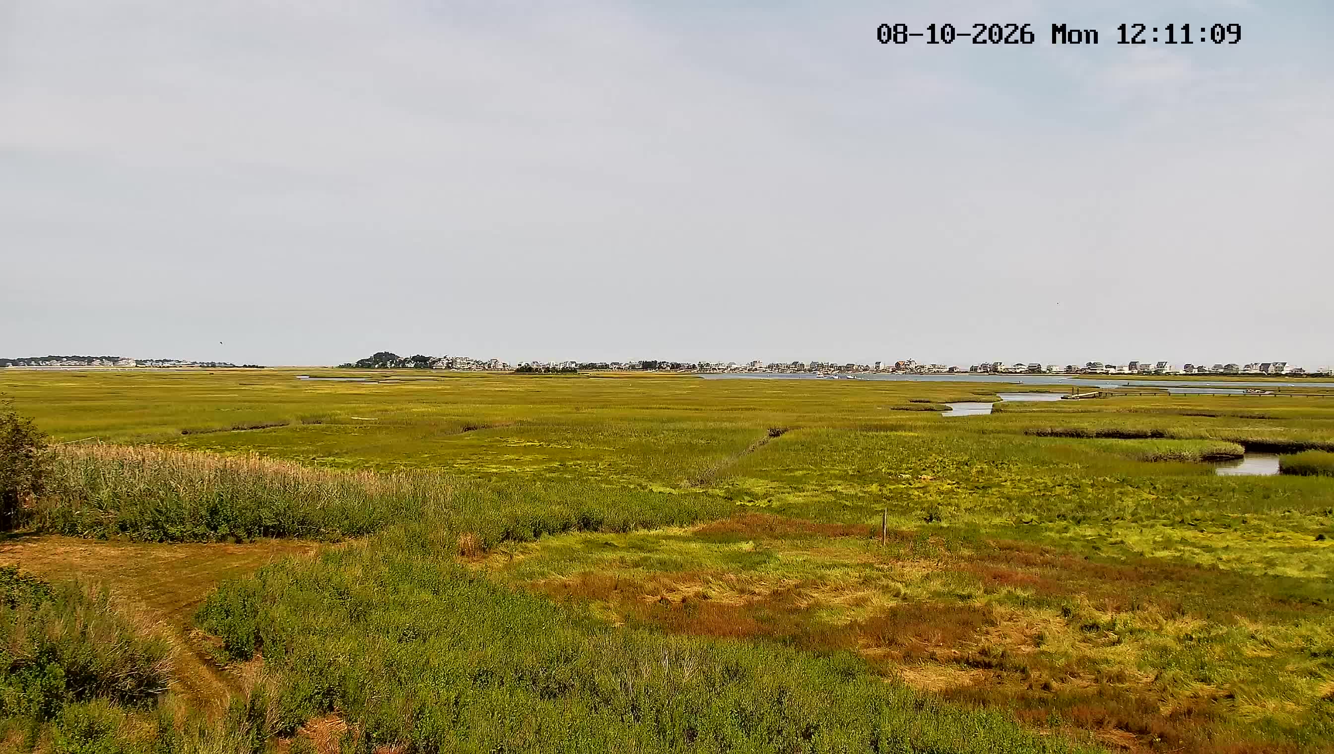 webcam Marsh Cam