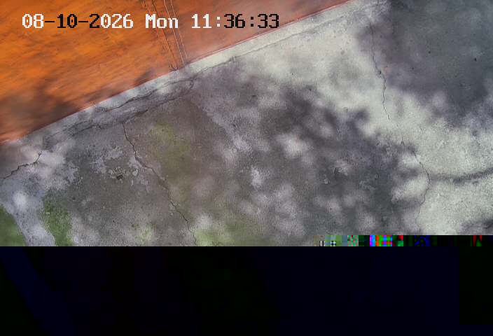 webcam MONCHCAM