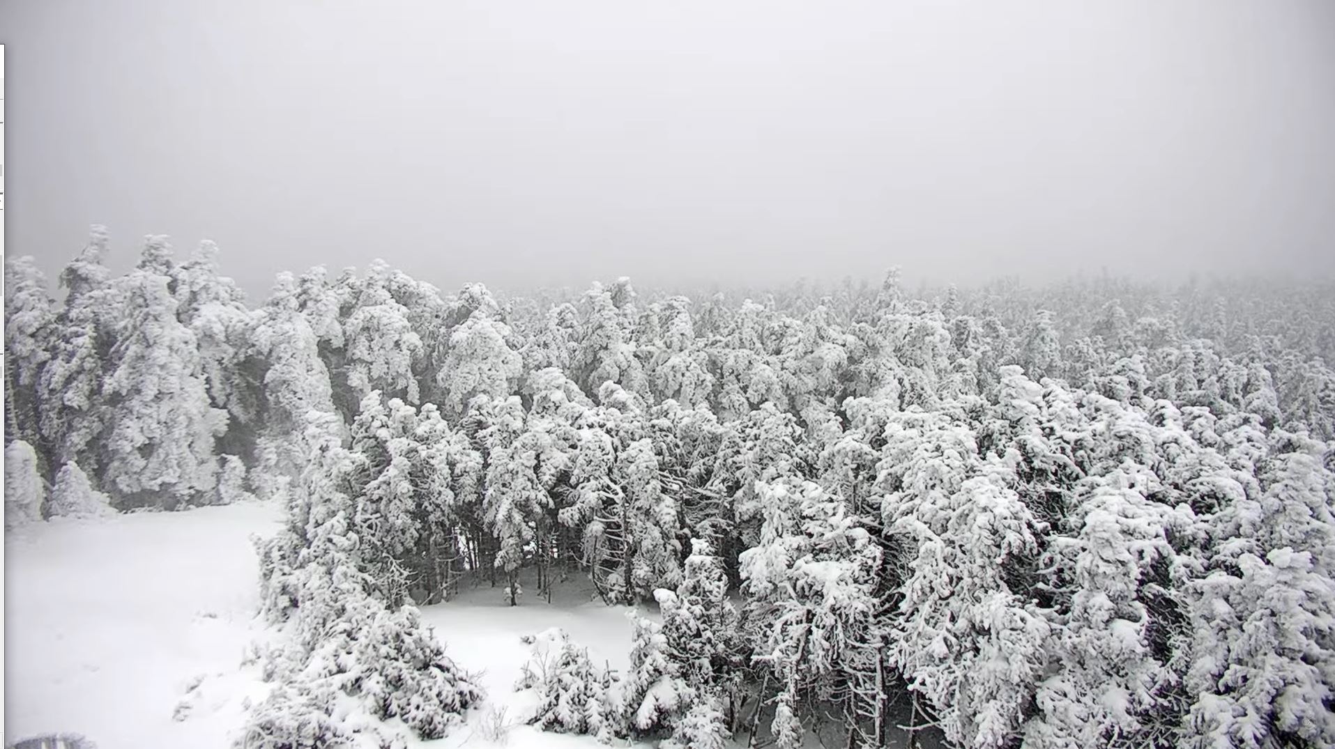 webcam Mount Mansfield