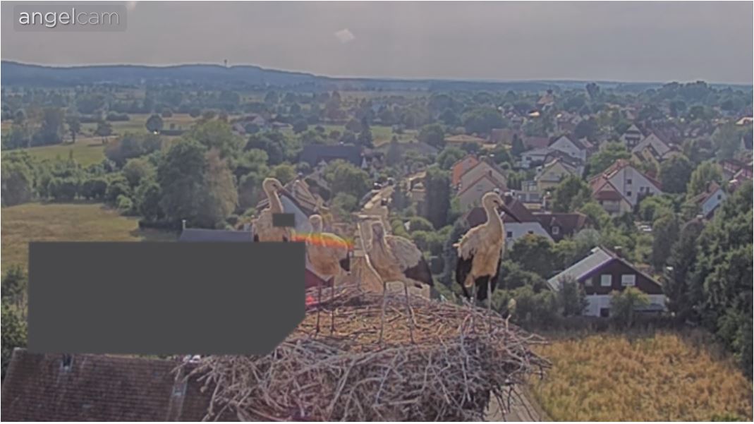 webcam Muhr am See