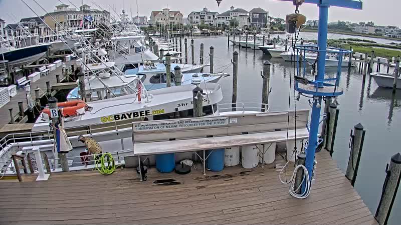 webcam Ocean City Fishing Center