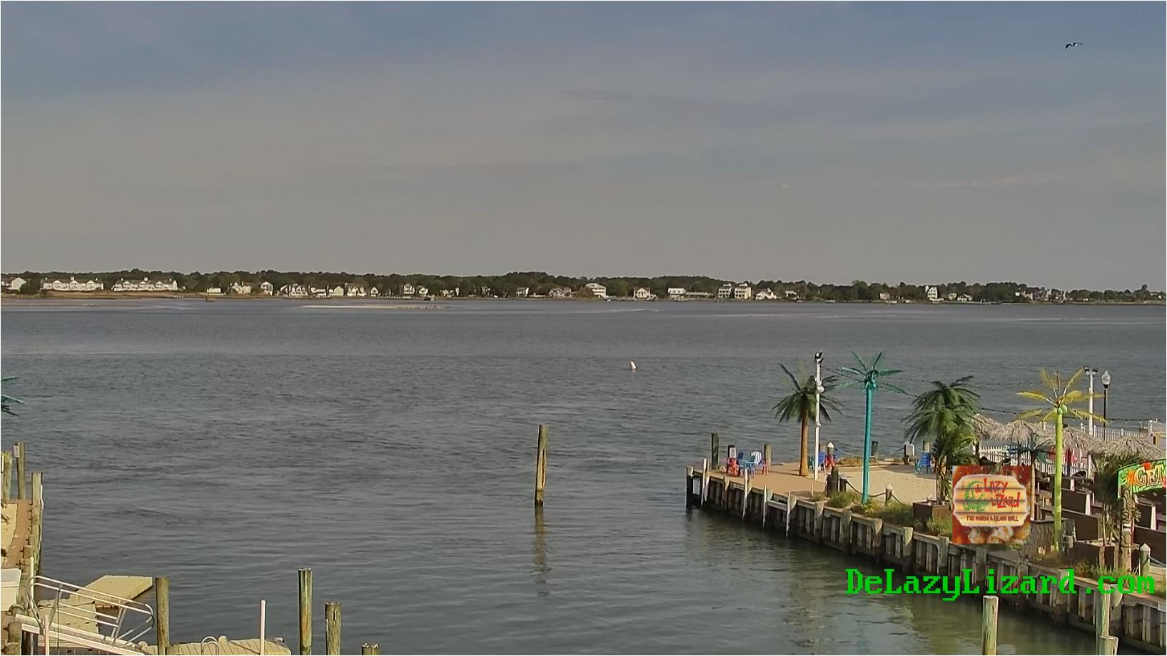 webcam Ocean City