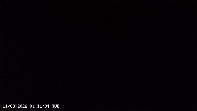webcam Ohope Live