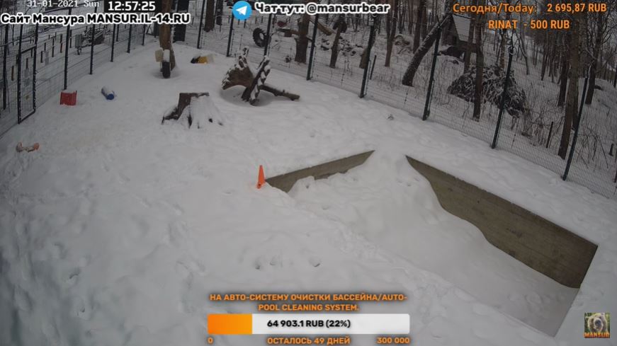 webcam Oreshkovo