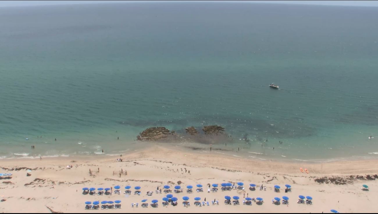 webcam Palm Beach