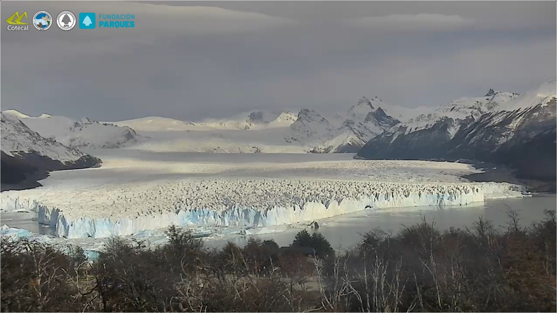 webcam Puerto Bandera