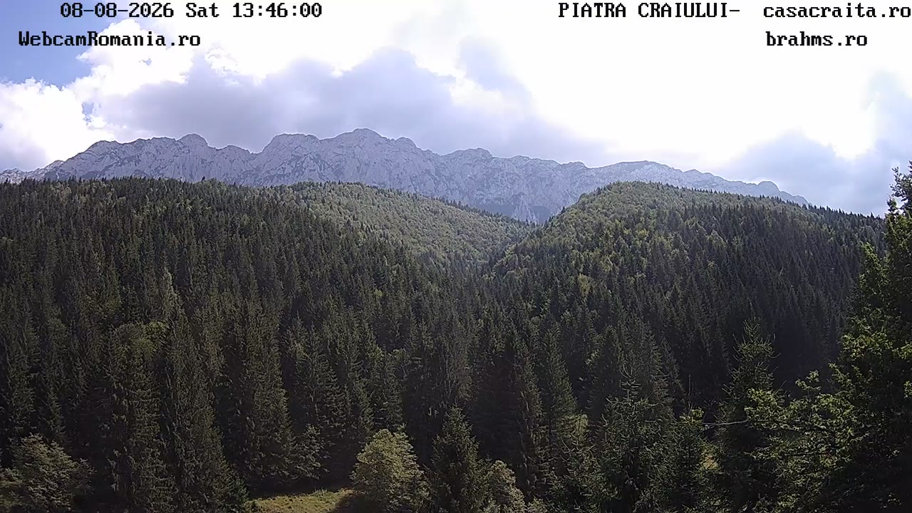 webcam Zărnești