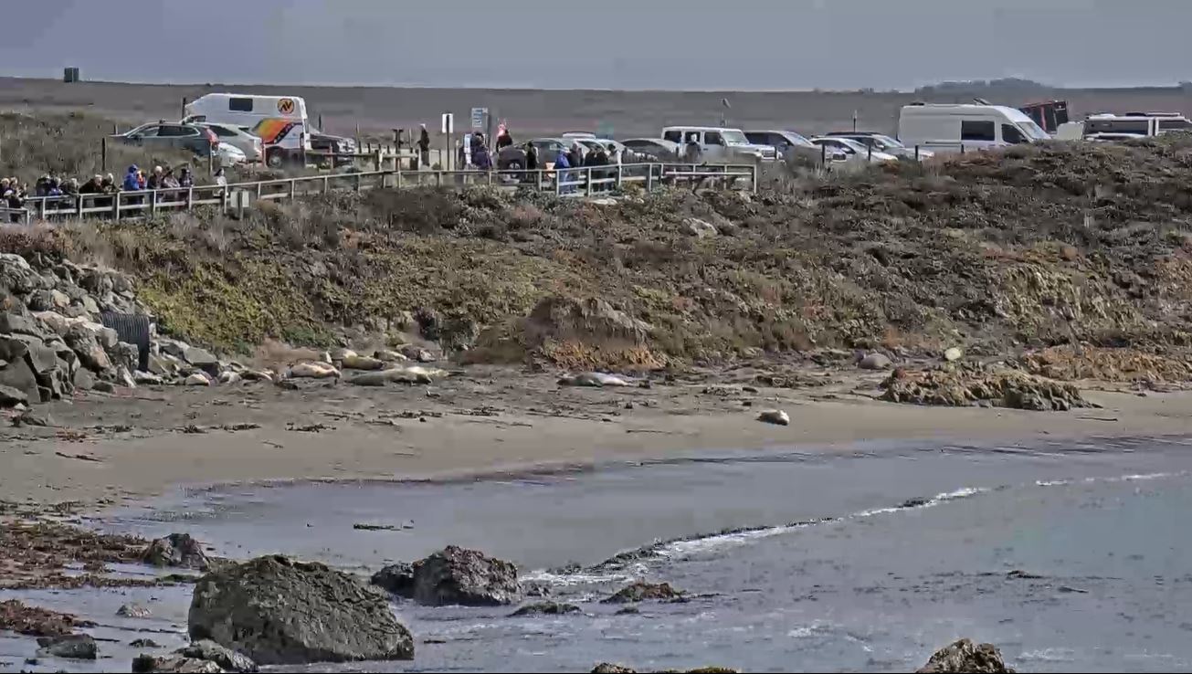 webcam Piedras Blancas