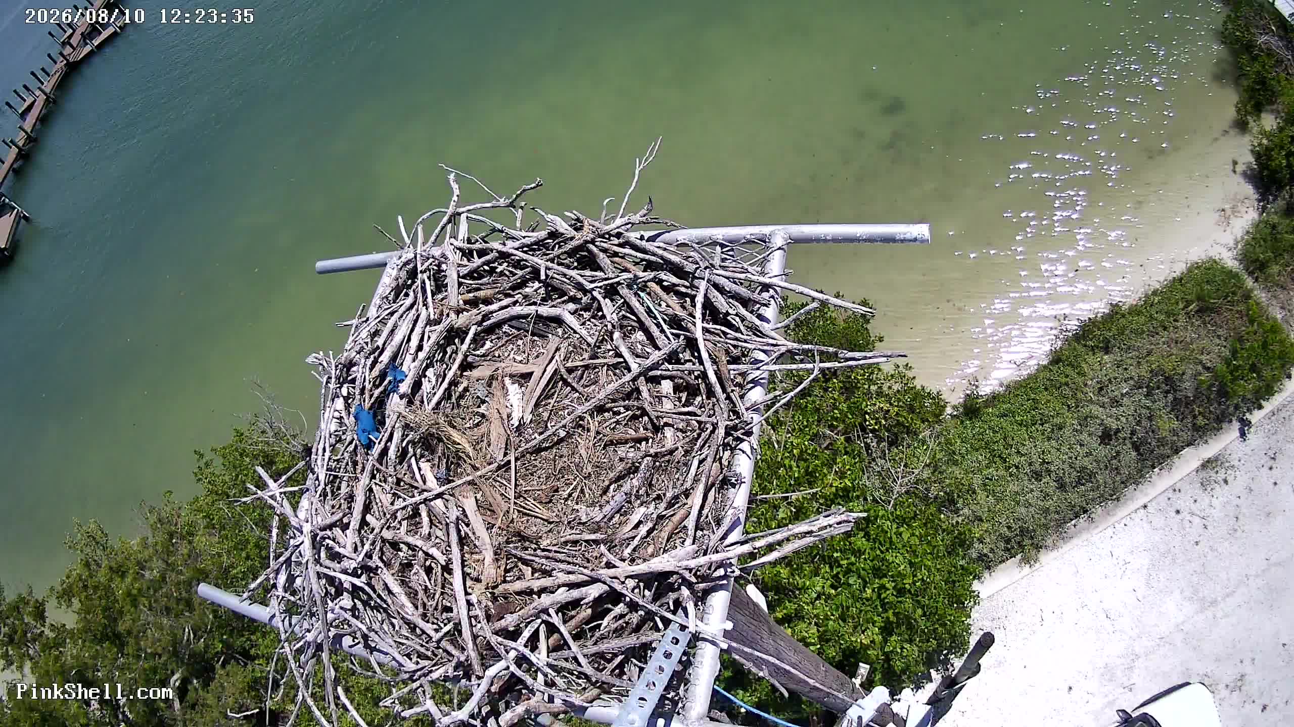 webcam Pink Shell Beach Resort & Marina Osprey