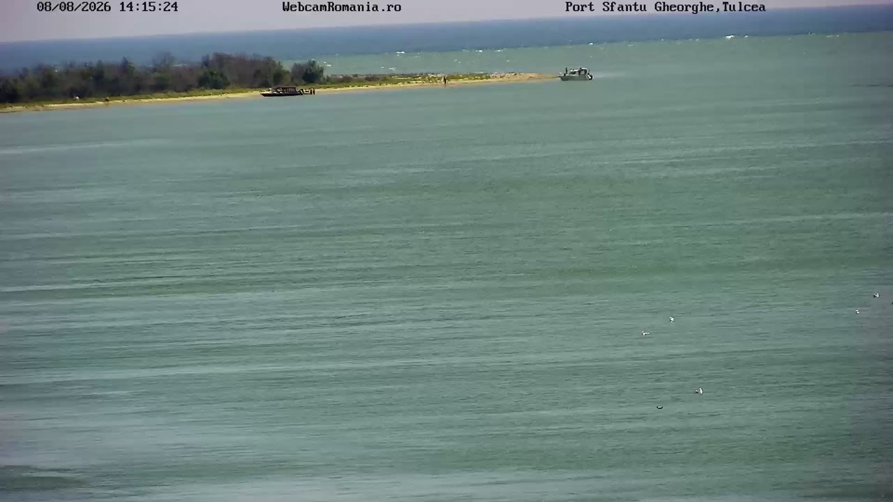 webcam Sfântu Gheorghe
