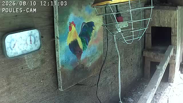 webcam POULES-CAM @ CTRL-ALT-MAT