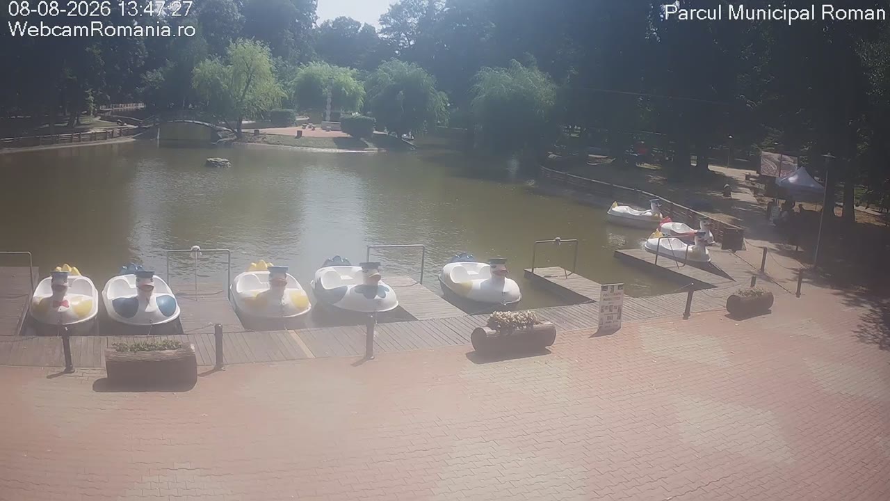 webcam Roman