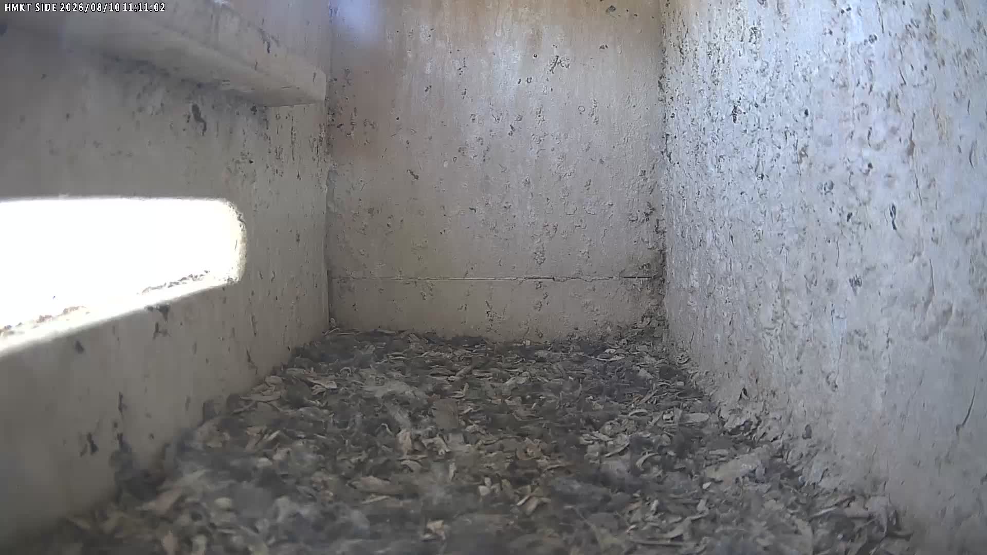 webcam SIDE H.M.K.T. NEST BOX