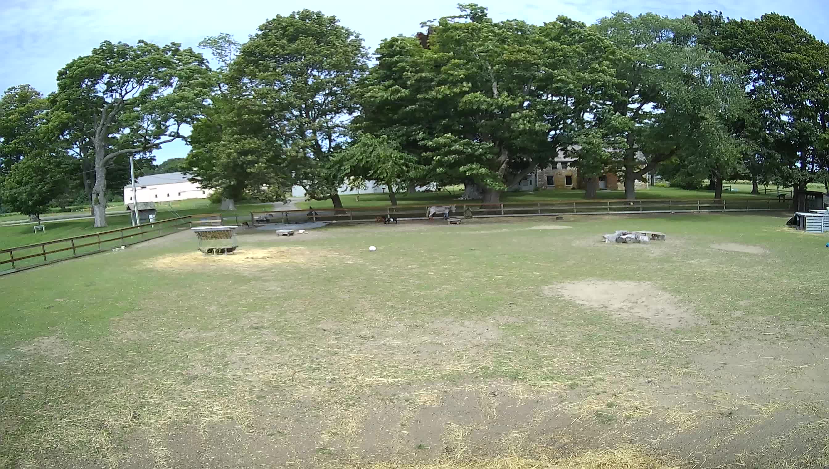 webcam Spencer-Peirce-Little Farm Paddock - Historic New England
