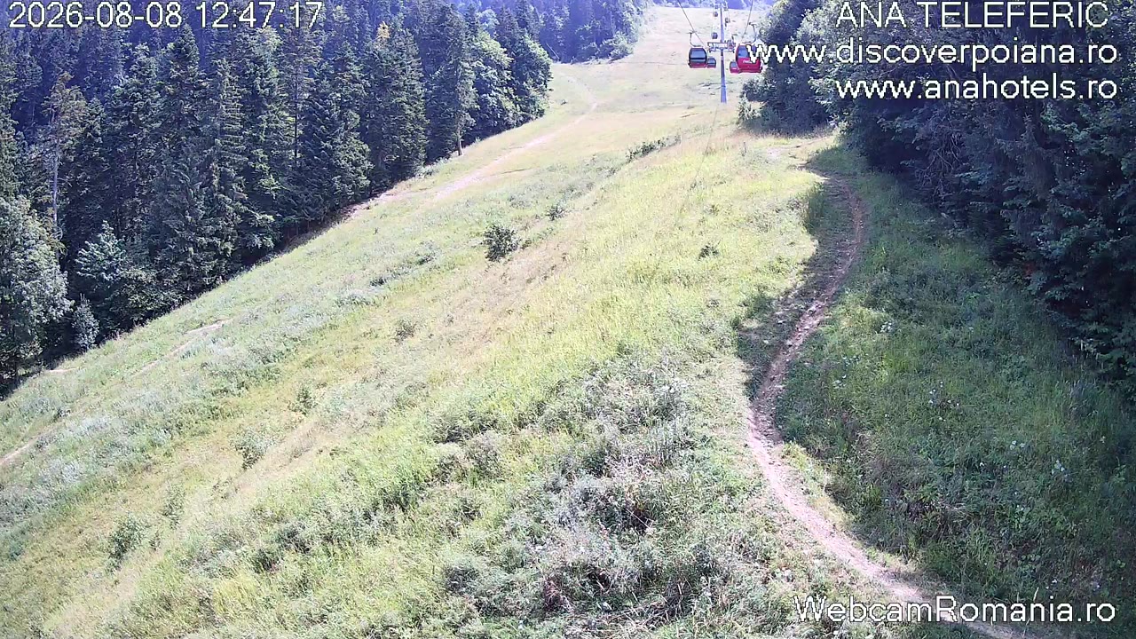 webcam Poiana Brasov