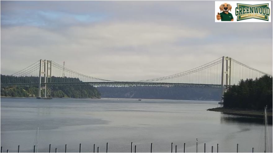 webcam Tacoma