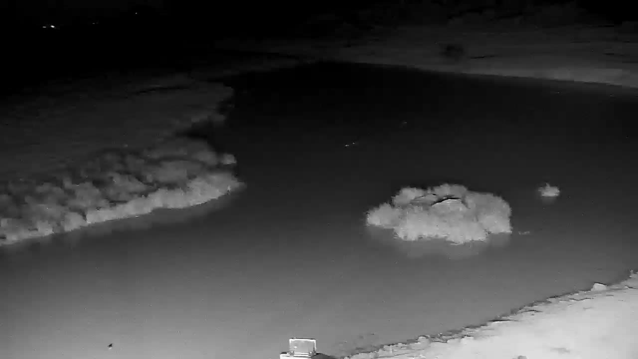 webcam The Ark, Kenya