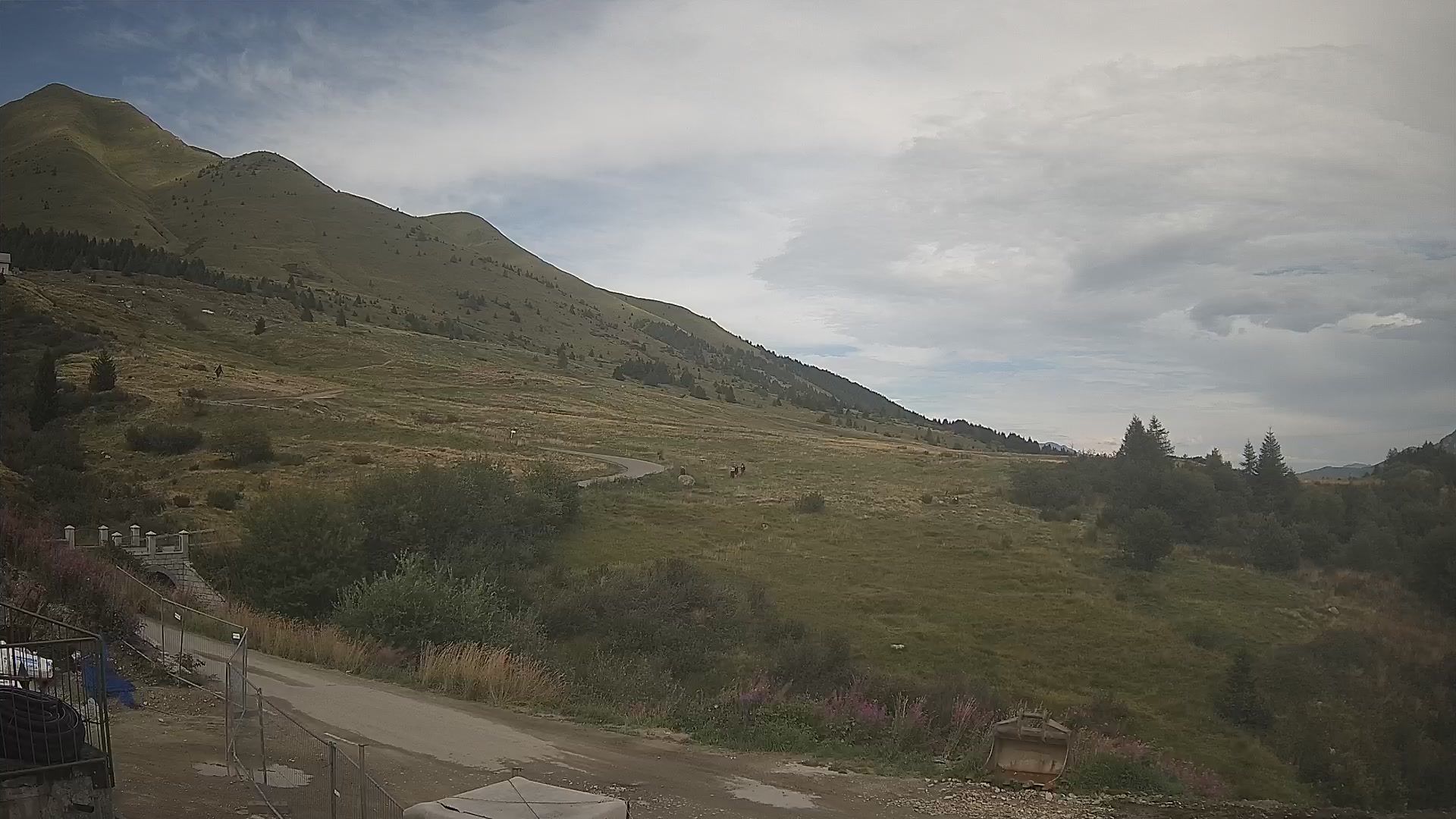 webcam Passo del Tonale