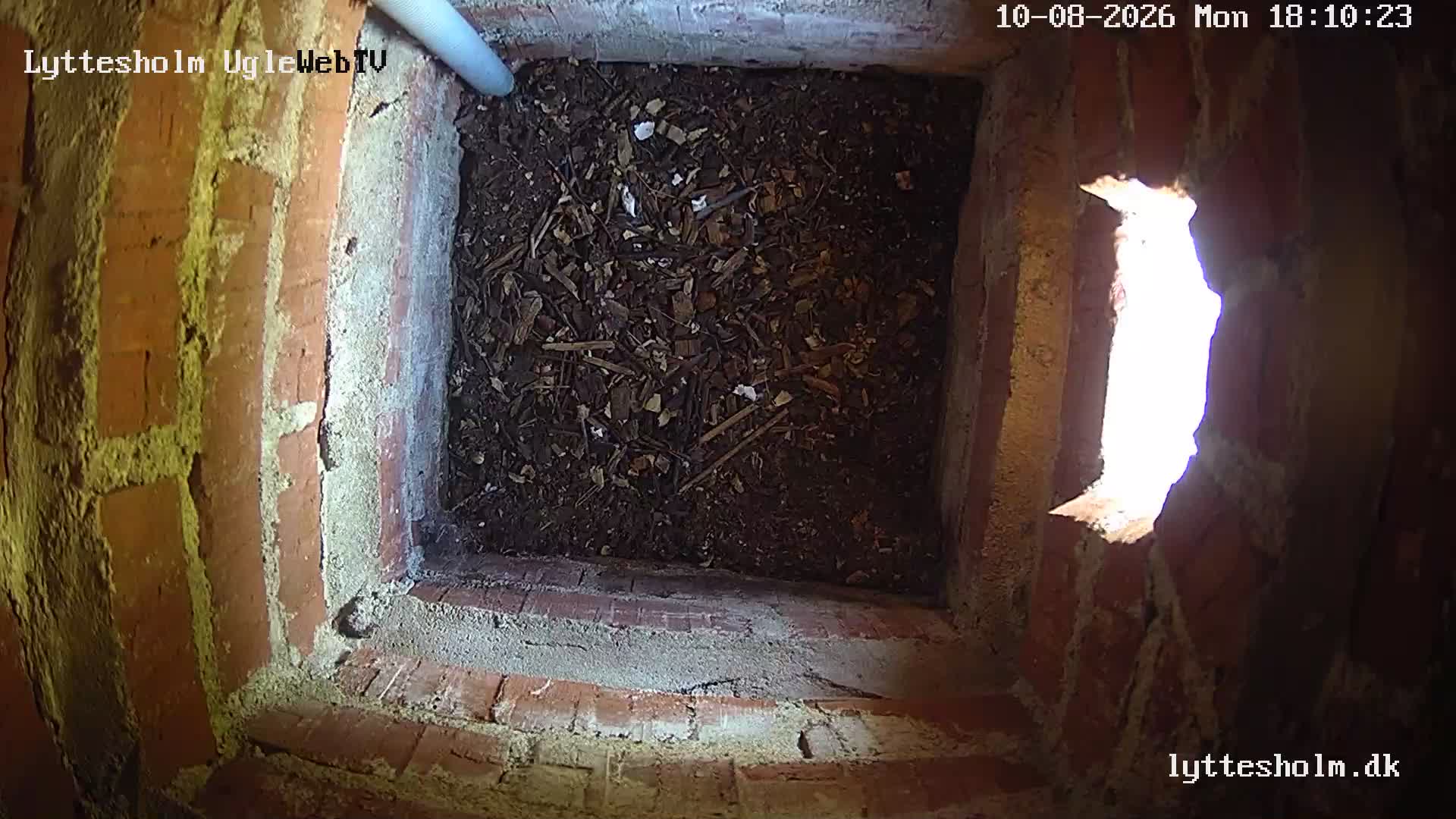 webcam Uglecam