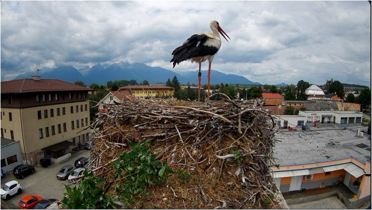webcam Veľká Lomnica