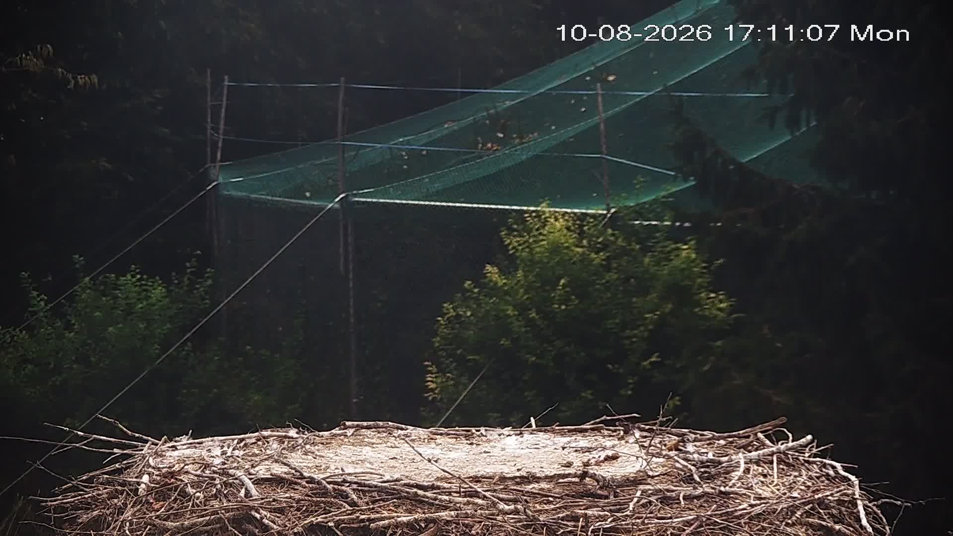 webcam Vogelschutzverein Moehlin 1