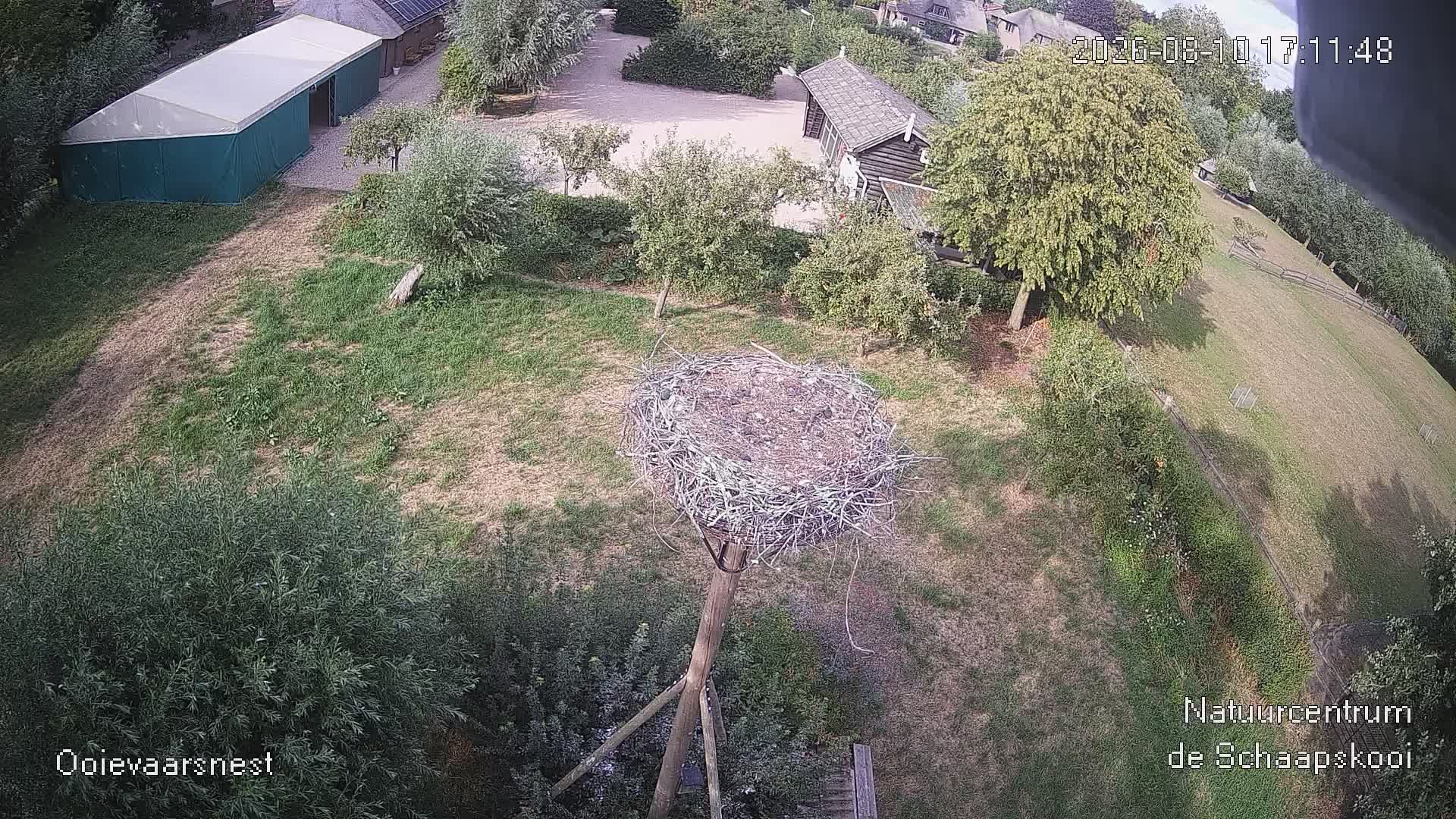 webcam Vogelwacht
